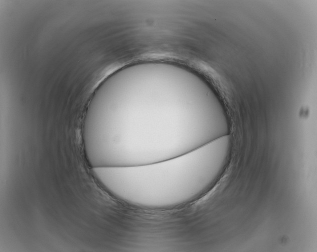X0000096951361200802080911