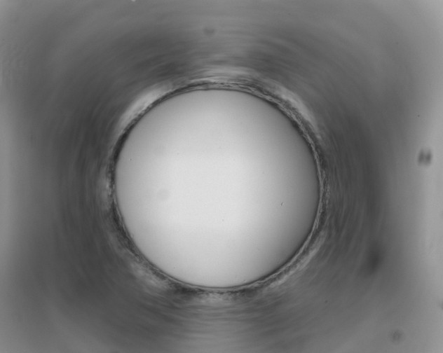 X0000096951362200802080911