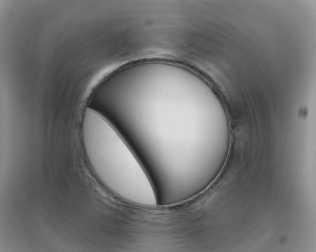 X0000096951363200802080911
