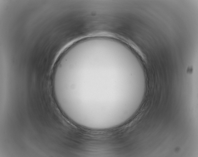 X0000096951364200802080911