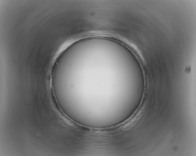 X0000096951365200802080911
