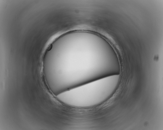 X0000096951366200802080911
