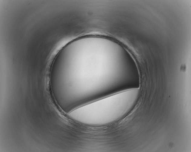 X0000096951367200802080911