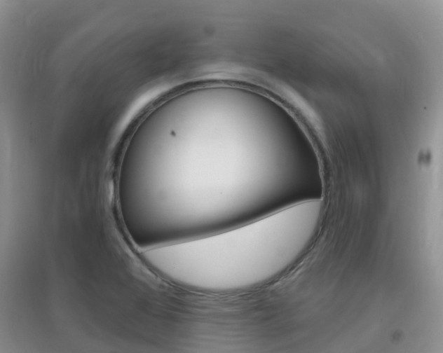 X0000096951368200802080911