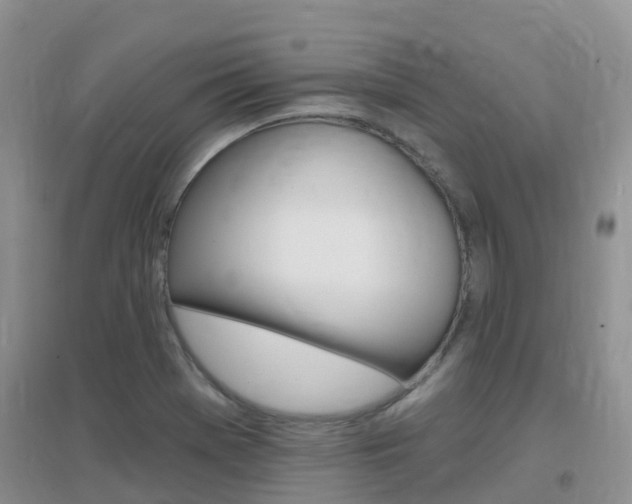 X0000096951369200802080911