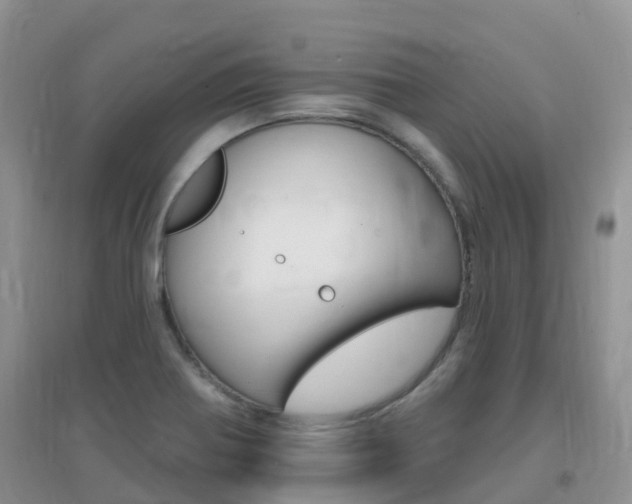 X0000096951370200802080911