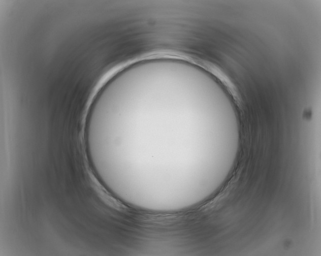 X0000096951372200802080911