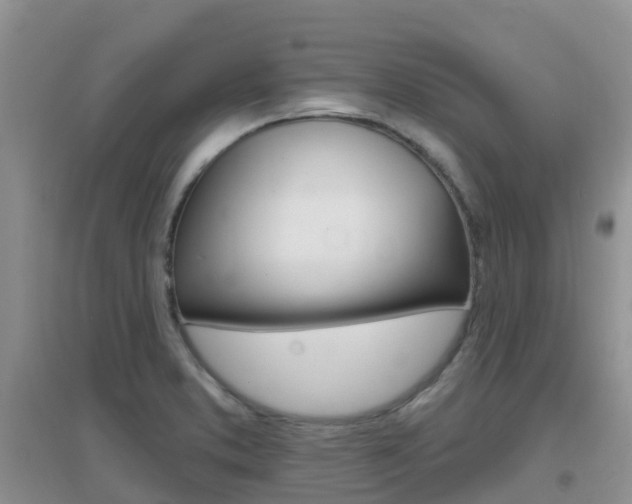 X0000096951373200802080911