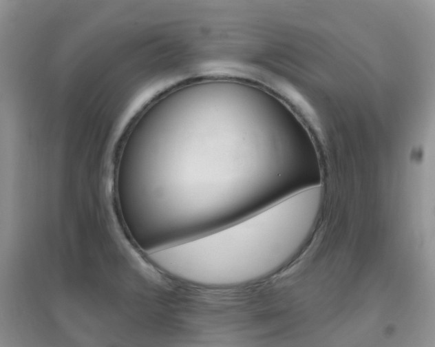 X0000096951376200802080911