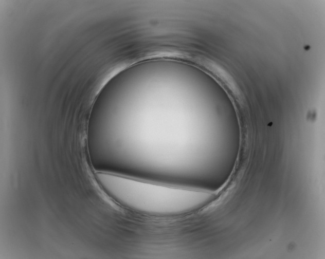 X0000096951377200802080911