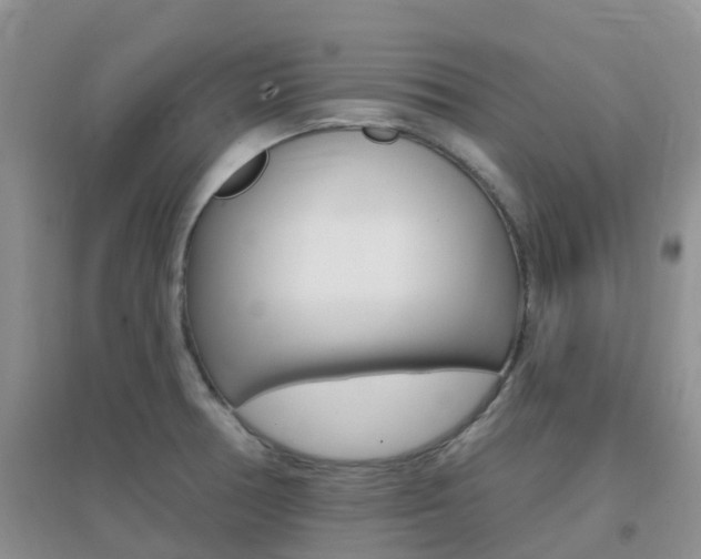 X0000096951378200802080911