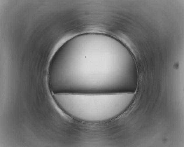 X0000096951379200802080911