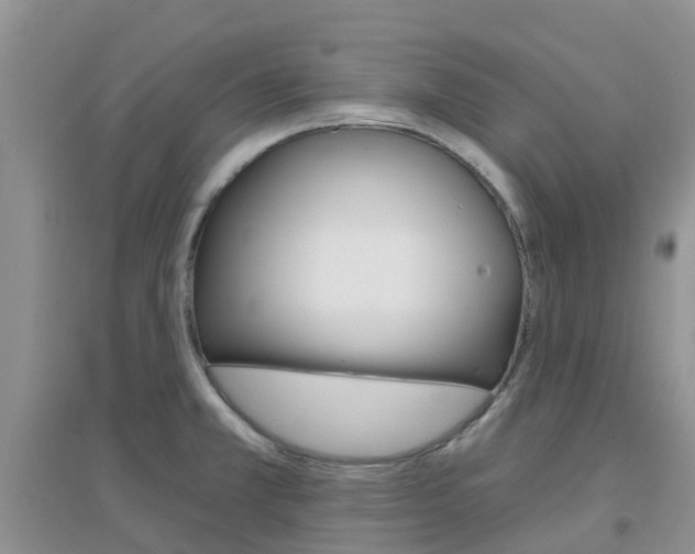 X0000096951381200802080911