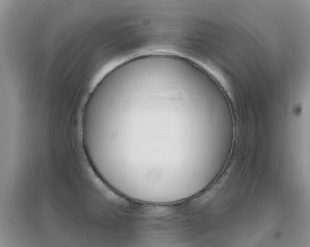 X0000096951382200802080911