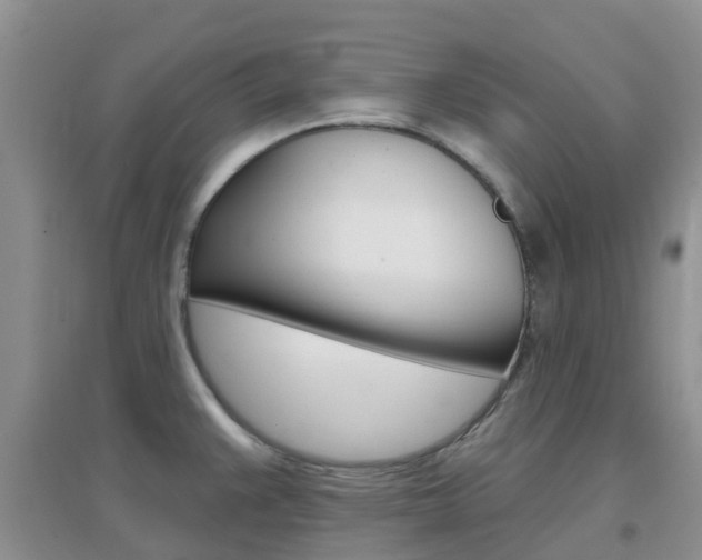 X0000096951383200802080911