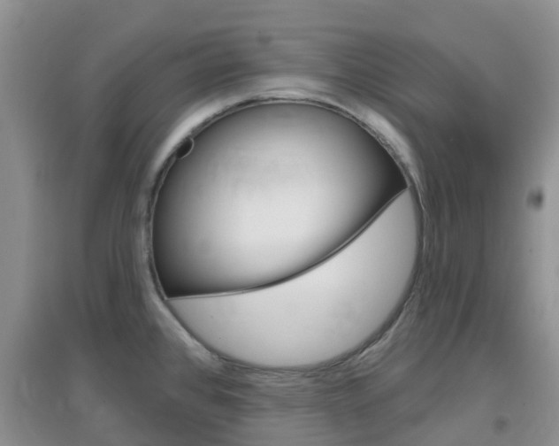 X0000096951384200802080911