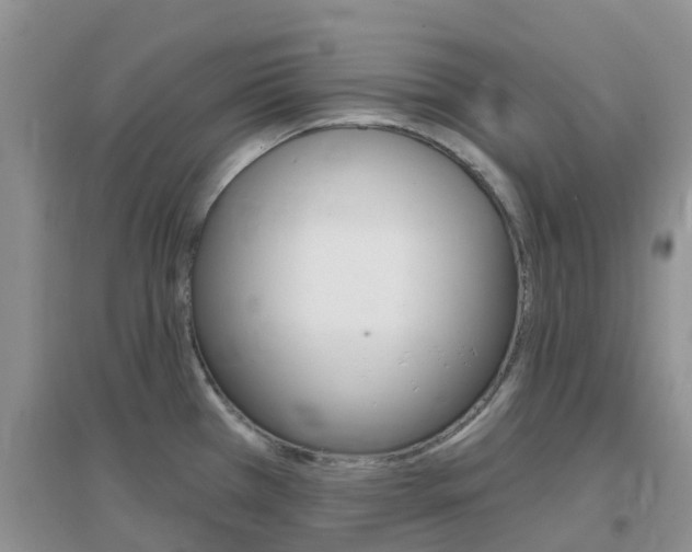 X0000096951385200802080911