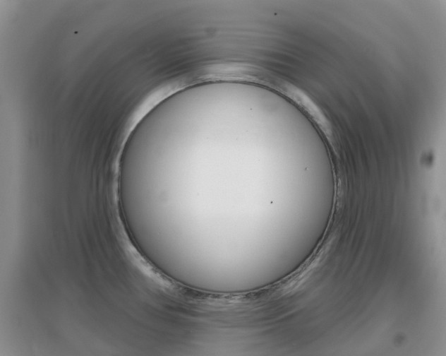X0000096951386200802080911