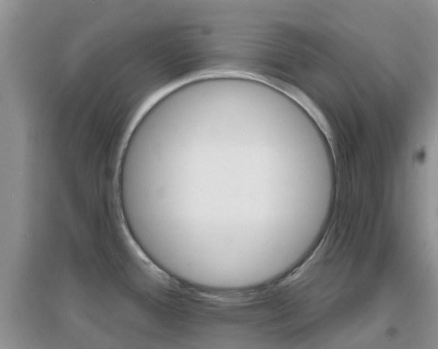X0000096951388200802080911
