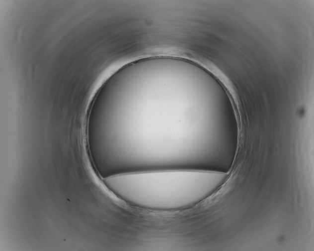 X0000096951389200802080911