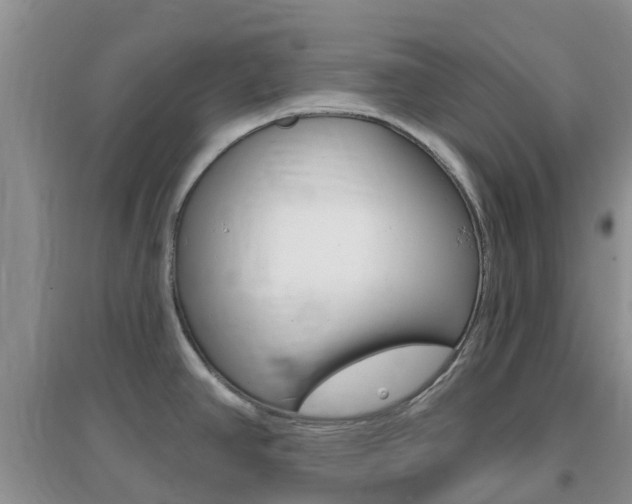 X0000096951390200802080911