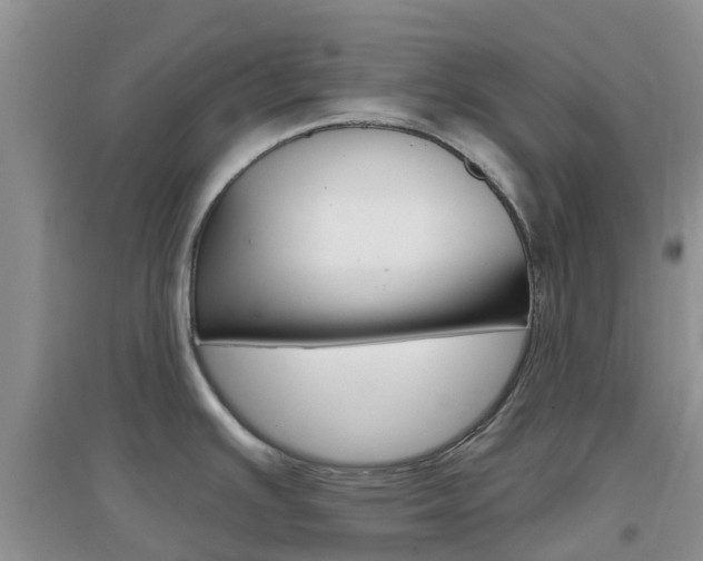 X0000096951391200802080911