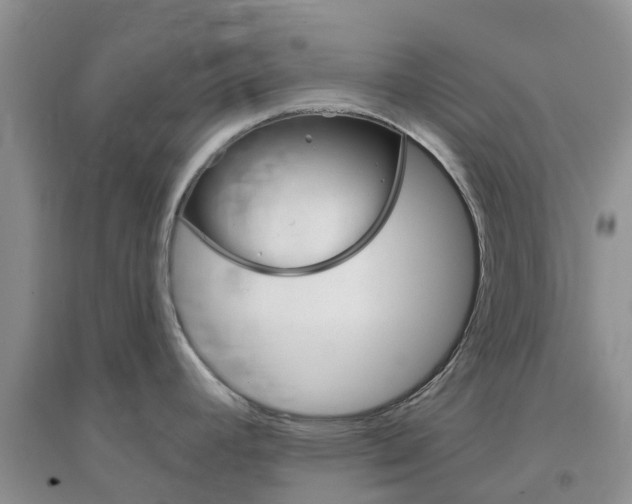X0000096951392200802080911