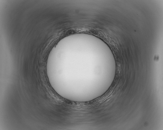 X0000096951393200802080910