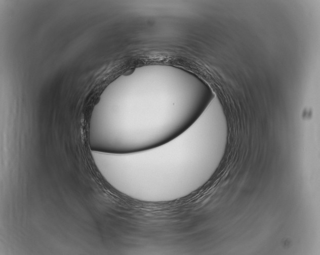 X0000096951394200802080910