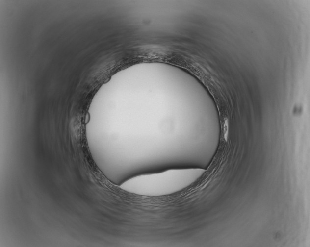 X0000096951395200802080910