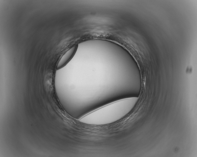 X0000096951396200802080910