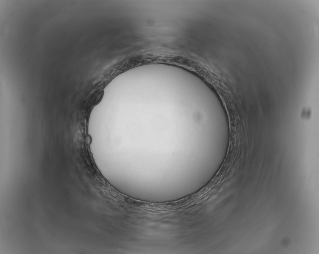 X0000096951397200802080910