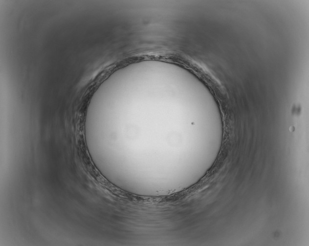 X0000096951399200802080910