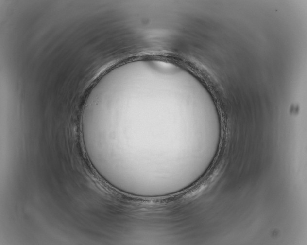 X0000096951401200802080910