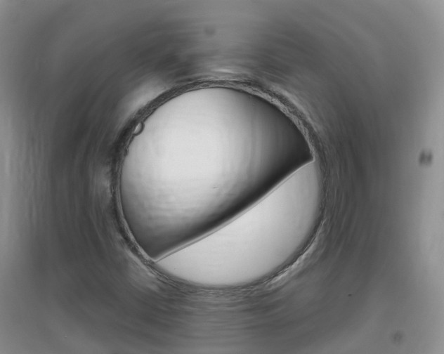 X0000096951402200802080910