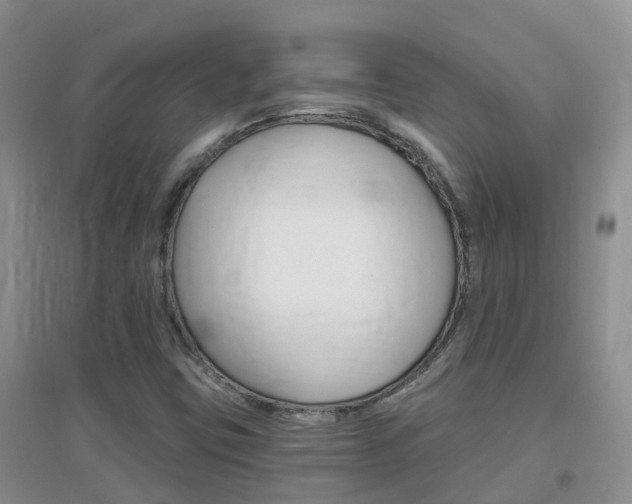 X0000096951403200802080910