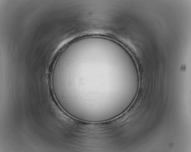 X0000096951404200802080910