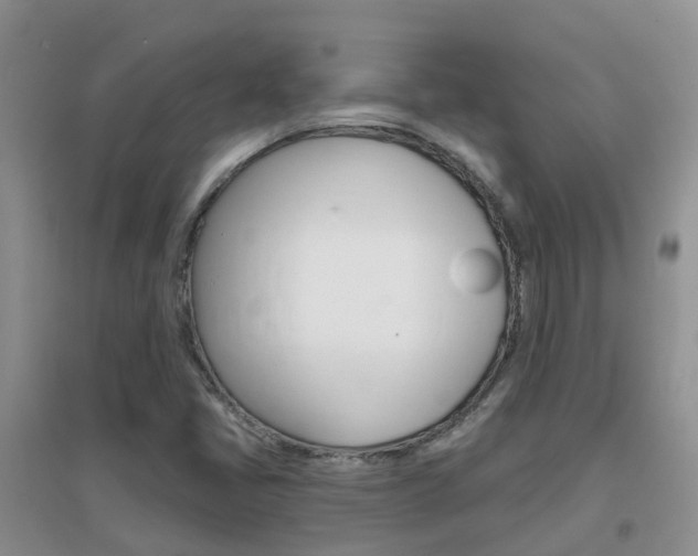 X0000096951405200802080910