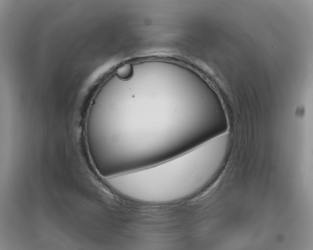 X0000096951406200802080910