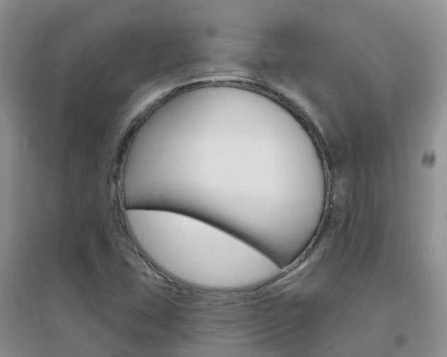 X0000096951407200802080910