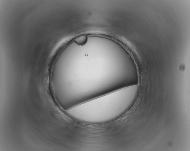 X0000096951408200802080910