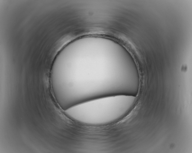X0000096951409200802080910