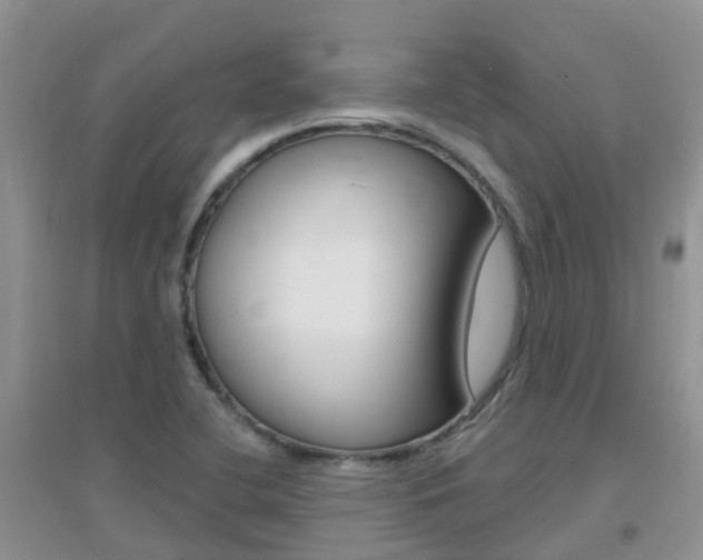 X0000096951412200802080910