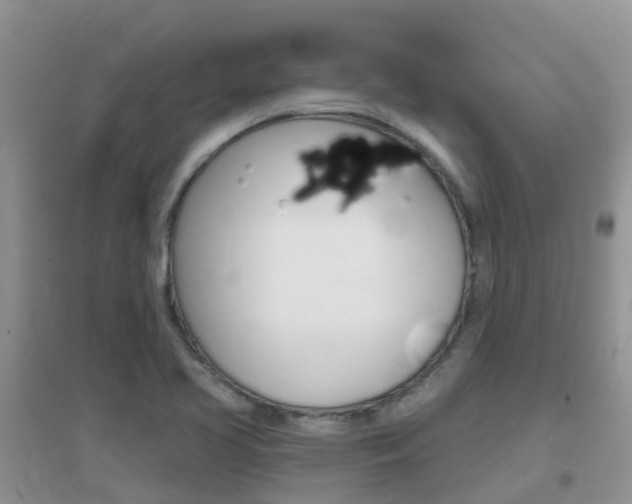 X0000096951413200802080910