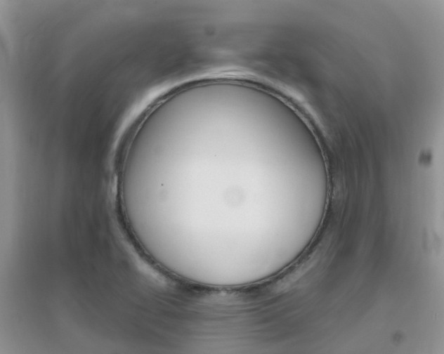 X0000096951414200802080910