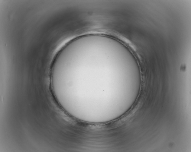 X0000096951415200802080911