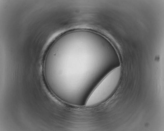 X0000096951416200802080911