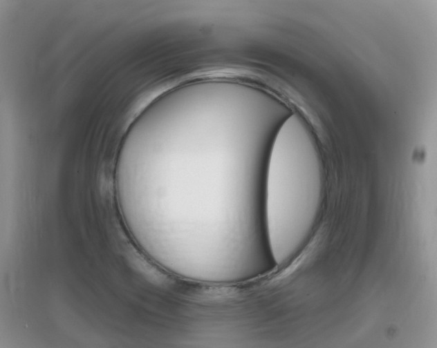X0000096951417200802080911