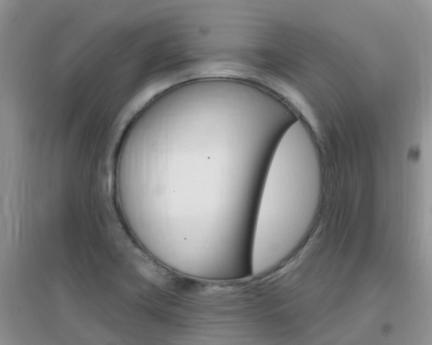 X0000096951419200802080911
