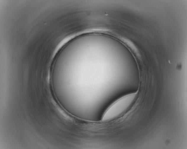 X0000096951420200802080911